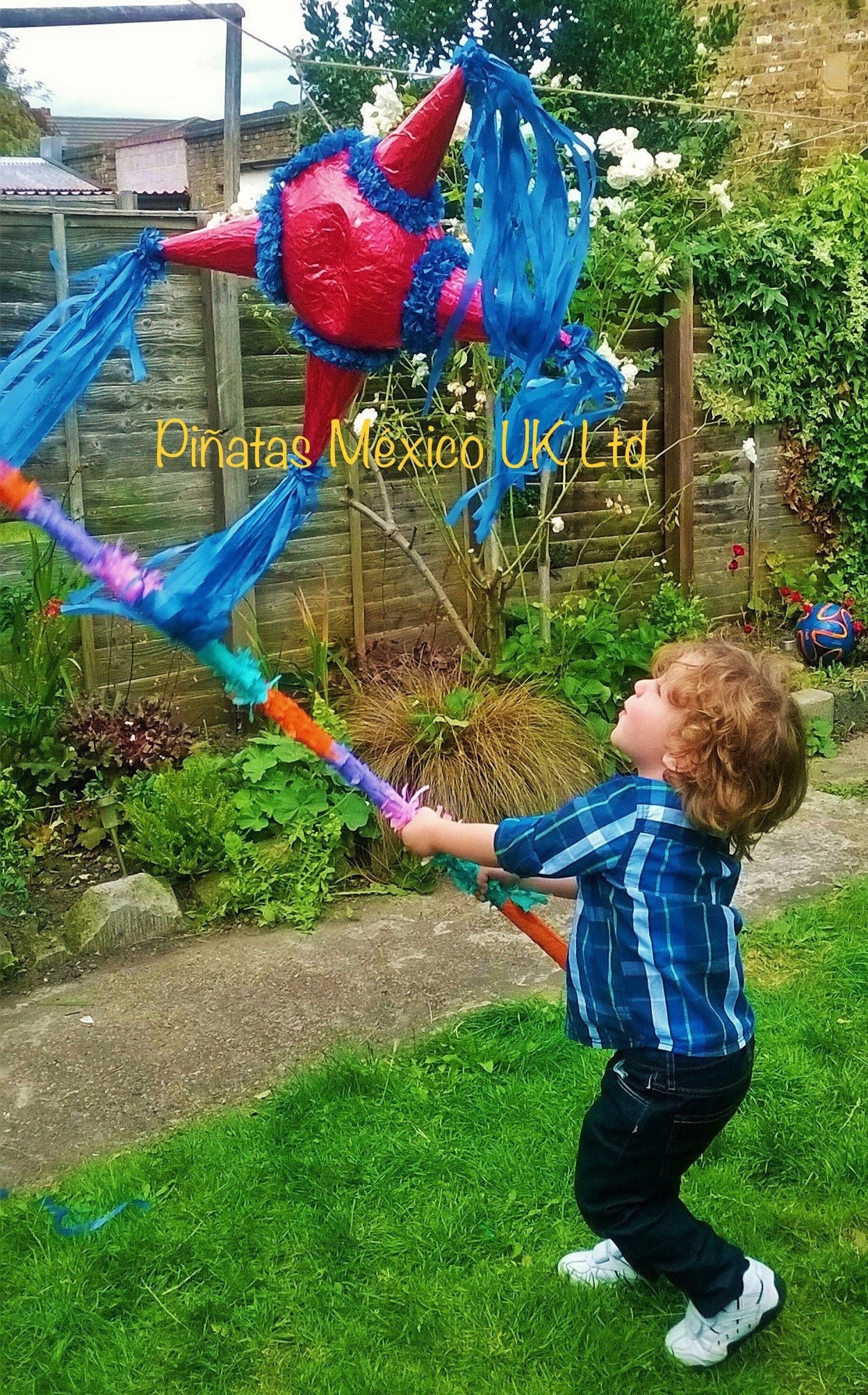 Star Piñata Traditional Star Mexican Pinata