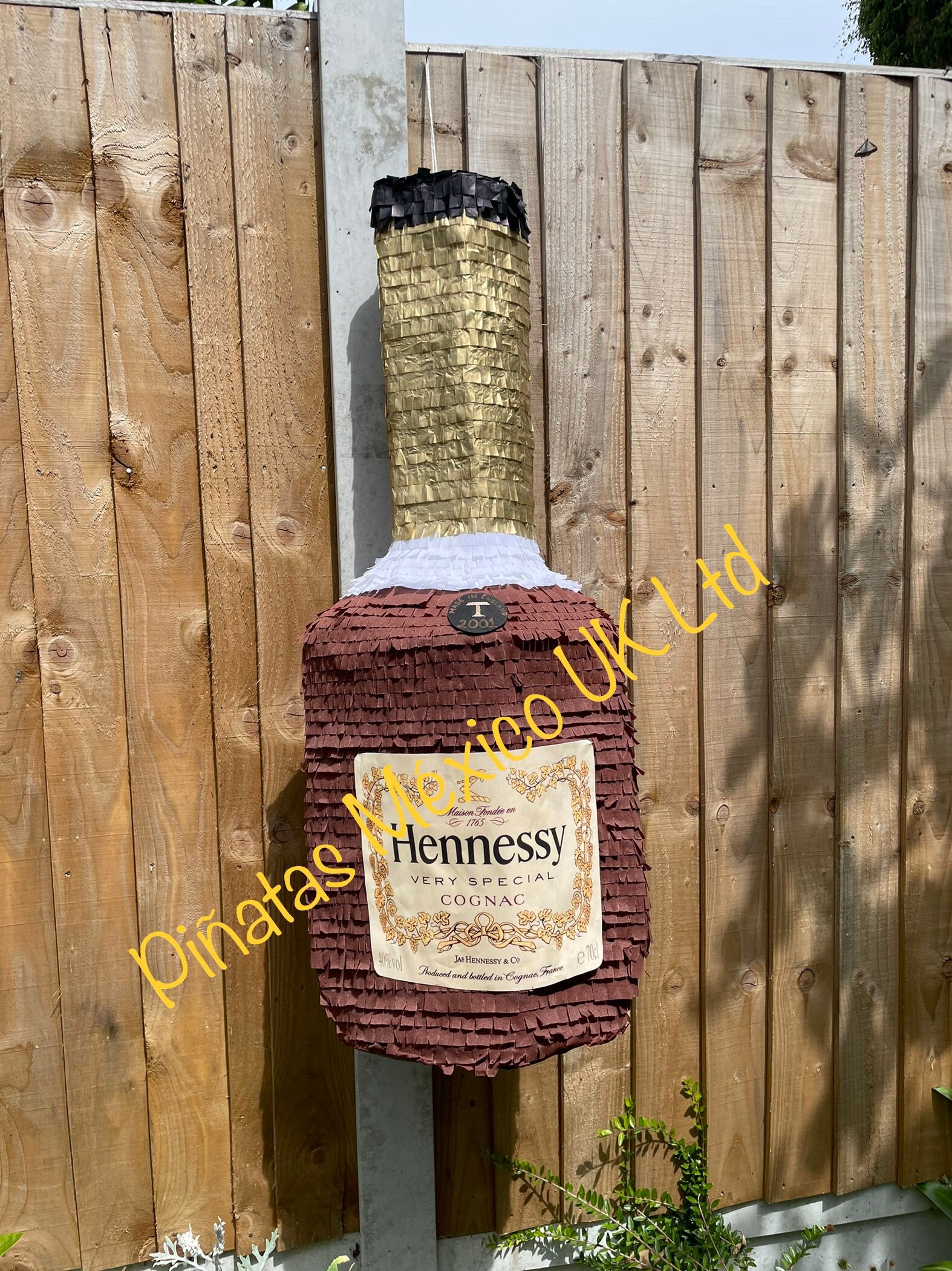 Medium Hennessy Bottle Pinata Drink Cocktail Piñata 18th 21st ...