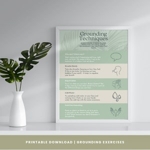 May include: A framed print with the title "Grounding Techniques" and instructions for staying calm. The print has a light green and white color scheme with illustrations. A white vase with green leaves is in the foreground.