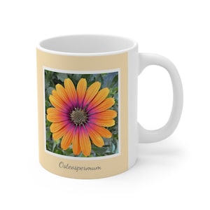 Osteospermum, Ceramic Mug 11oz