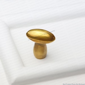 May include: A brass cabinet knob featuring a smooth, oval-shaped head attached to a tapered, cylindrical base. The metal has a polished, reflective gold-toned finish. The knob is mounted on a white surface with a subtle, raised rectangular border.