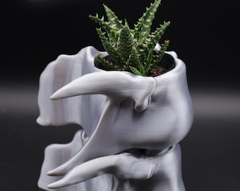 Peut inclure: Un pot de fleurs gris imprimé en 3D en forme de vertèbre de raton laveur, avec le texte "RACCOON VERTEBRAE" en blanc. Il contient une petite plante succulente verte. Le fond est noir.