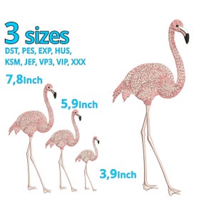 Flamingo Bordado Design 3 tamanhos andando Trópico Flamingo Love Bird Desenho Safari Animal Kingdom Pintura Máquina de Bordar arquivo Baixar