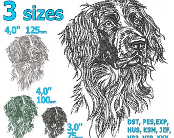 Munsterland Dog Embroidery Design 3 MISURE, Münsterland Hunting Dog head Sketch Drawing Machine File di ricamo Download istantaneo
