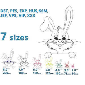 Può includere: Un disegno in bianco e nero di un coniglio che guarda da sopra un cartello. Il coniglio sorride e ha occhi grandi. L'immagine include il testo "7 dimensioni" e elenca diverse dimensioni in pollici e millimetri.