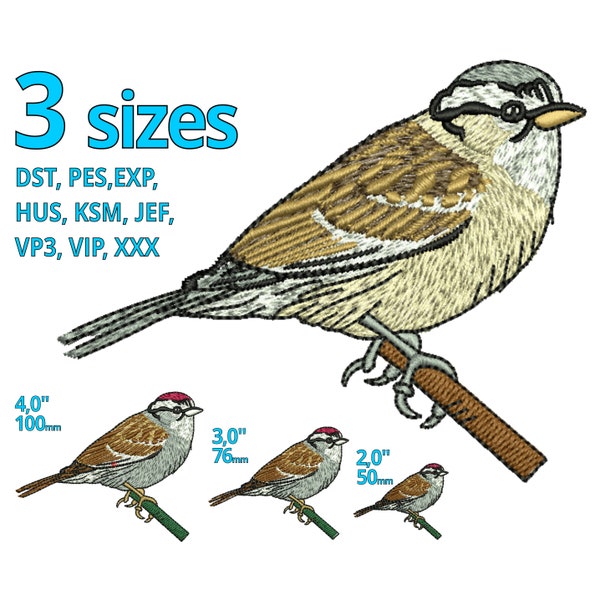 Bird embroidery design | 3 sizes Sparrow real bird machine embroidery file | house sparrow Passeridae singing birds Tajima Brother file