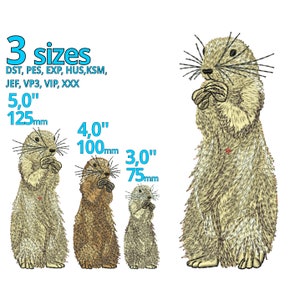 Marmot embroidery design 3 sizes, real groundhog machine embroidery file Animal drawing art - Ground hog Day Brother stiching