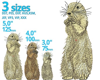 Marmot Embroidery Design Sizes, Real Groundhog Machine