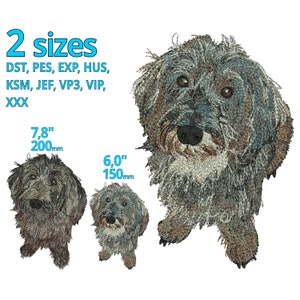 Langhaar Dackel Stickdatei, 3 SIZES, Stickdatei Echter Hund Rauhhaardackel echter Hund gestickt Instant Download
