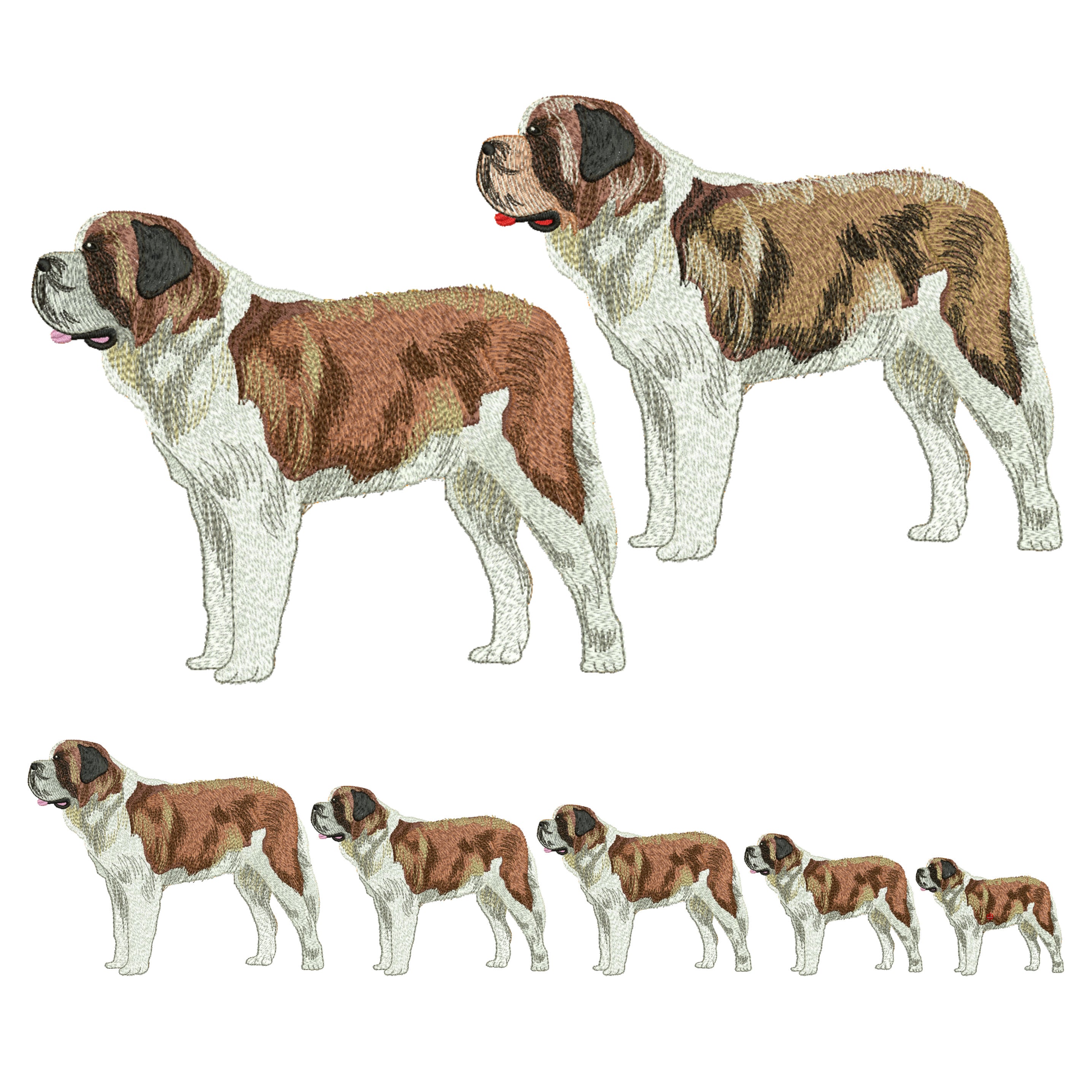 Ritratti Di Cani Personalizzati [San Bernardo] Patch Ricamata In Ferro - Foto 10