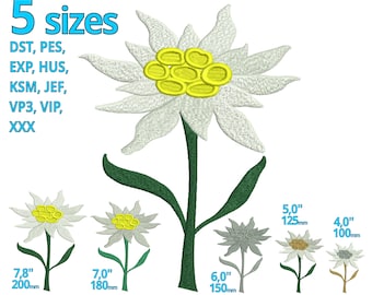 Può includere: Cinque ricami di un fiore di stella alpina bianco con un centro giallo. I ricami sono disponibili in cinque dimensioni: 7,8 pollici, 7 pollici, 6 pollici, 5 pollici e 4 pollici.