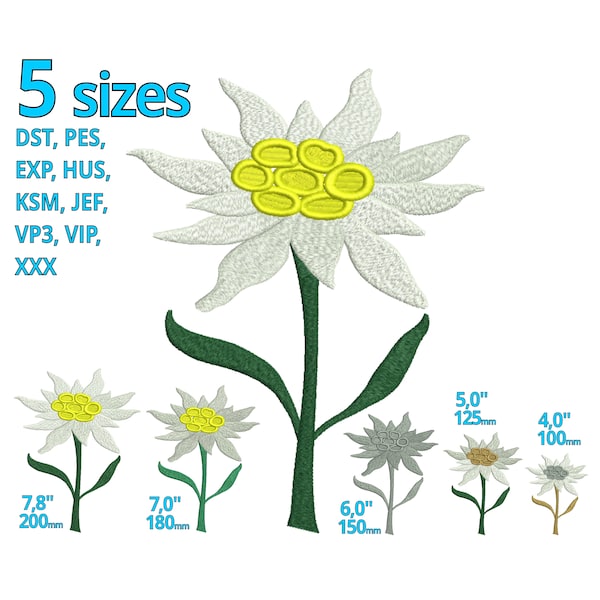 Edelweiss Broderie Design 5 tailles Big Edelweiss machine à broder fichier Flower Mountain Oktoberfest décoration autriche bavière Alpes