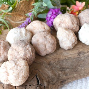 Könnte beinhalten: Eine Ansammlung von hellbraunen, strukturierten, kugelförmigen Dekorationsgegenständen, die auf einem Stück Treibholz angeordnet sind. Die Objekte variieren in Größe und Farbton, einige erscheinen cremeweiß. Grün und Blumen sind im Hintergrund zu sehen.