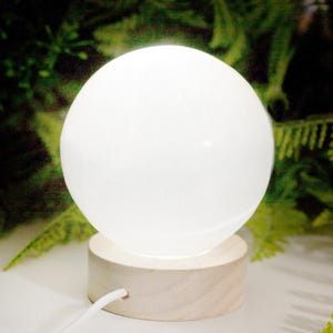 May include: A white, spherical lamp with a wooden base. The lamp emits a soft glow, and a white cord extends from the base. The background features green foliage.