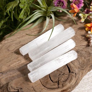 Könnte beinhalten: Vier weiße Selenit-Kristallstäbe auf einem Stück Treibholz angeordnet. Die Stäbe sind rechteckig und durchscheinend. Grünes Laub und bunte Blumen umgeben die Kristalle und erzeugen eine natürliche Ästhetik.