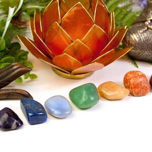 Pode incluir: Uma coleção de pedras de chakra em várias cores, dispostas em fila. Um castiçal decorativo de flor de lótus e uma escultura de mão de madeira também estão presentes, juntamente com uma estátua de Buda de bronze e vegetação.