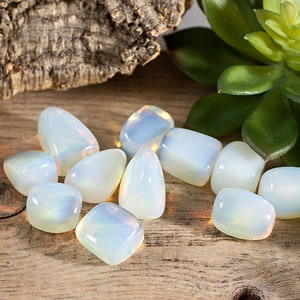 May include: A collection of white opal tumbled stones with iridescent rainbow flashes. The stones are arranged on a wooden surface with a green succulent plant in the background.