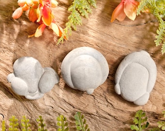 Pietra fatata dal Canada, misura M | Selezione di pietre fatate | Pietra fatata dal Quebec con certificato | Pietra fatata, misura M | Piccola pietra fatata