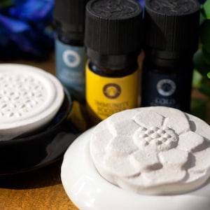 Könnte beinhalten: Nahaufnahme von ätherischen Ölflaschen mit schwarzen Kappen und Etiketten. Im Vordergrund befinden sich zwei weiße Keramikdiffusoren. Ein Diffusor hat ein Blumendesign, der andere ein geometrisches Muster. Die Flaschen tragen die Aufschriften "Immunity Booster" und "Cold".