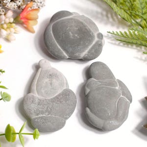 Fairy Stone from Canada | Large Fairy Stone | Fairy Stone from Quebec with Certificate | Large Fairy Stone with Certificate | Fairy Stone XL