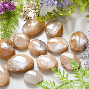 Pode incluir: Uma coleção de pedras preciosas ovais polidas, em tons de bege e creme, com superfícies iridescentes e refletoras. As pedras são dispostas entre raminhos de folhagem verde e flores roxas e rosas.