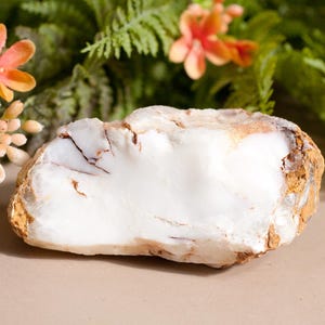 Könnte beinhalten: Ein großer, unregelmäßig geformter weißer Stein mit braunen und beigen Kanten. Der Stein hat eine glatte, polierte Oberfläche mit natürlichen Rissen. Der Hintergrund umfasst grünes Laub und orangefarbene und rosa Blüten.