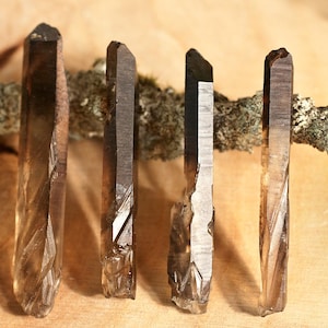 Può includere: Sono mostrate quattro punte di cristallo di quarzo fumé di varie dimensioni e forme. I cristalli sono di colore marrone traslucido, alcuni con una punta più scura, quasi nera. Sono disposti in fila su una superficie di legno.