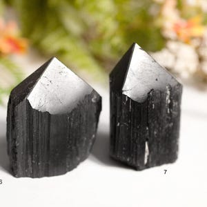 Può includere: Due cristalli di tormalina nera con una parte superiore angolata e lucidata e un corpo ruvido e strutturato. I cristalli sono esposti su una superficie bianca con uno sfondo sfocato di fogliame verde e fiori arancioni. I cristalli sono numerati 6 e 7.