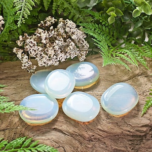May include: Six smooth, white opal stones with iridescent rainbow colors. The stones are arranged on a piece of driftwood with green foliage in the background.