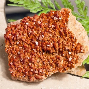 Könnte beinhalten: Mineralprobe mit einem Cluster aus kleinen, rot-orangen Kristallen. Die Kristalle sind dicht auf einer hellbraunen Matrix gepackt. Verstreute weiße Kristalle setzen einen Kontrast. Die Nummer "2" ist sichtbar.
