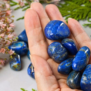 May include: A hand holding a collection of tumbled lapis lazuli stones. The stones are a deep blue with flecks of gold and white.