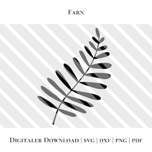 Plotterdatei Farn, Pflanze schlicht digitale Datei, Plot Vektorgrafik dxf/pdf/svg/png
