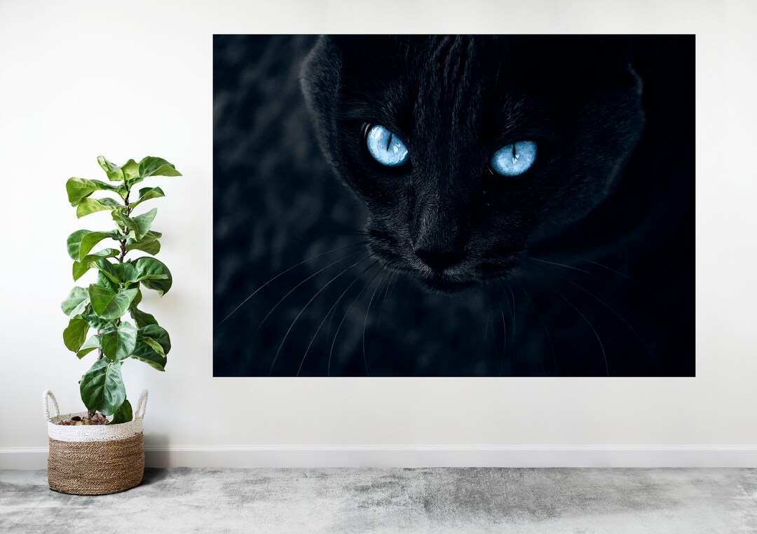 Black Cat Blue Eyes Animal Large Poster Art Print Custom Gift A0