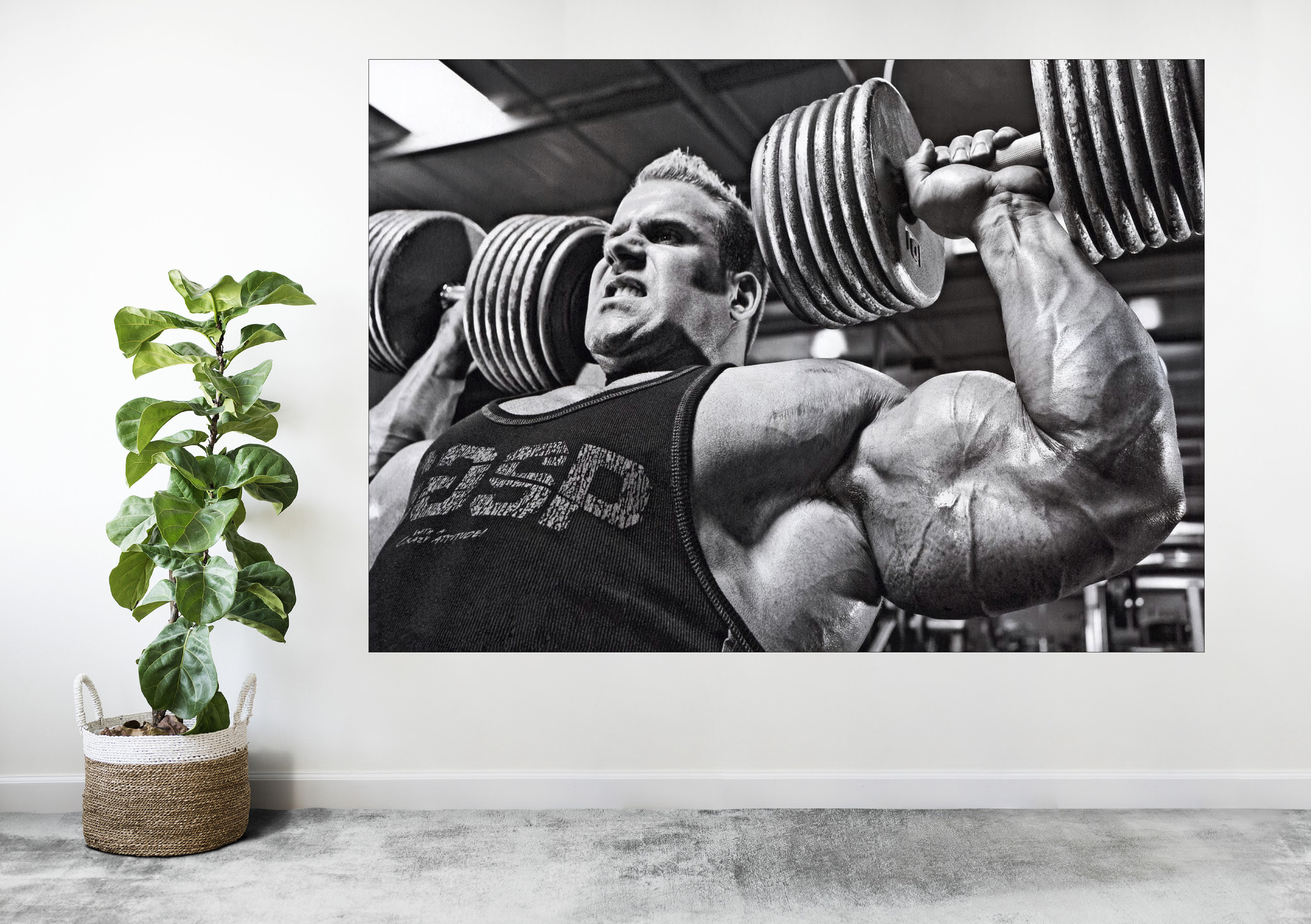 Bodybuilding jay cutler - Etsy 日本