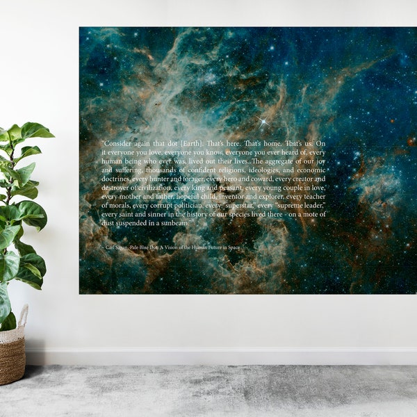 Carl Sagan The Pale Blue Dot Inspirational Quote Large Poster Black & White Art Print Gift A0 A1 A2 A3 A4 A5