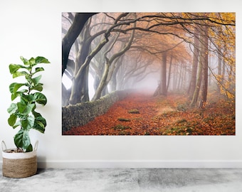 Beautiful Autumn Trees Forrest Nature Landscape Large Poster Art Print Gift A0 A1 A2 A3 A4 A5