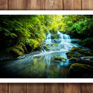 Rouken Glen Waterfall - Print