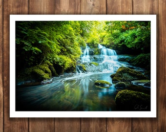 Rouken Glen Waterfall - Print