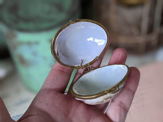 1960s **Rare Leopard Pattern Sea Shell Trinket Tr… - image 3