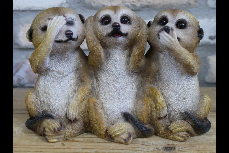 Meerkat Gifts