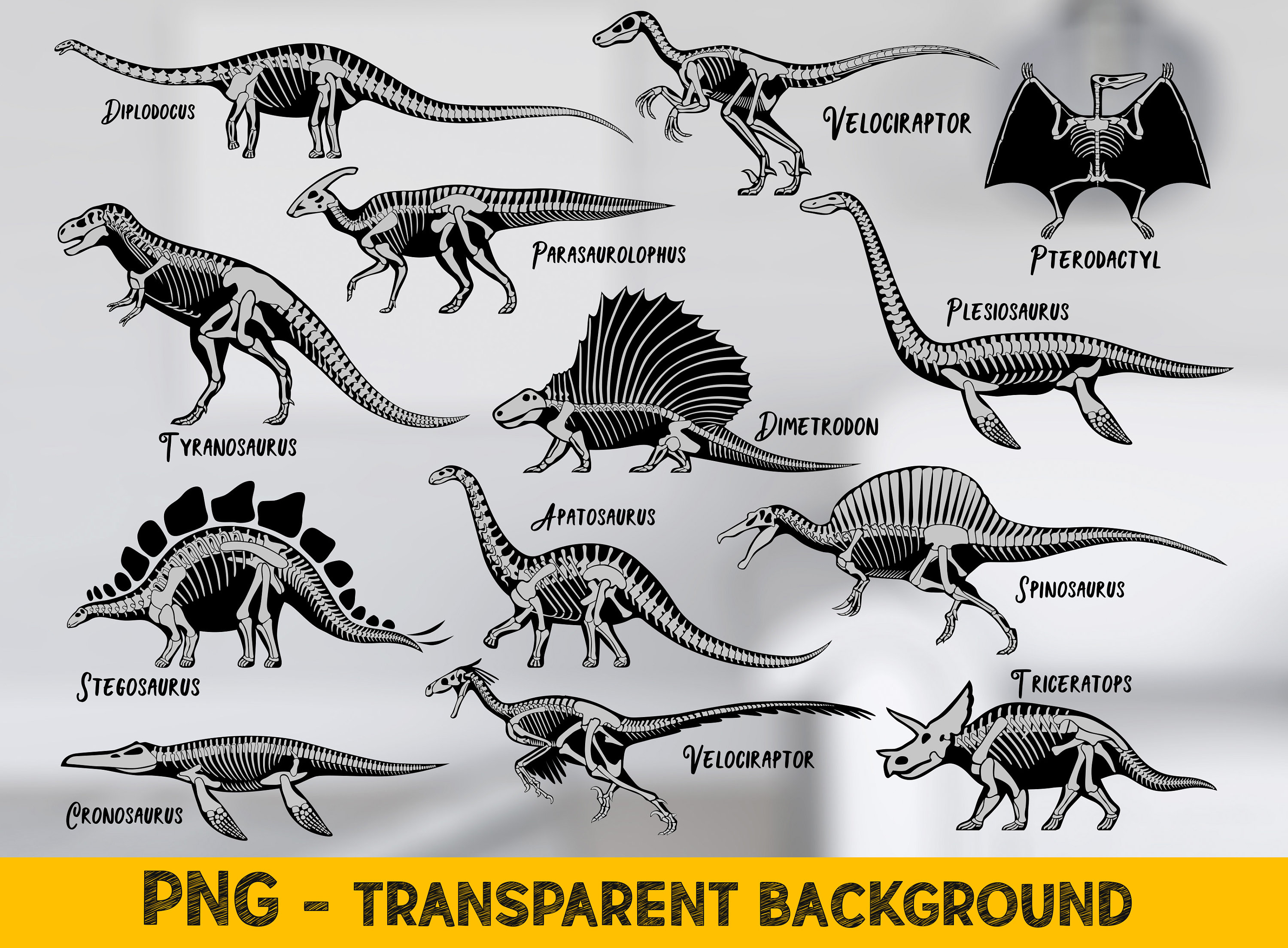 Dinosaur Pterodactyl SVG Cut File - Snap Click Supply Co.