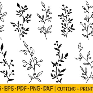 Archivo SVG de hojas de rama, paquete SVG de plantas, archivos SVG botánicos para Cricut, archivos SVG de corte láser con borde floral, archivos PNG para sublimación