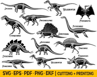 Dinosaur Svg Cut File, Dinosaur Skeleton Svg Files For Cricut, Dinosaur Silhouette Svg Bundle, Laser Cut Files, Png Files For Sublimation