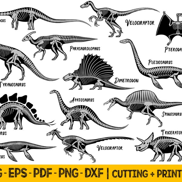 Archivo de corte svg de dinosaurio, archivos svg de esqueleto de dinosaurio para cricut, paquete svg de silueta de dinosaurio, archivos cortados por láser, archivos png para sublimación