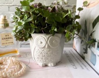 Cute Owl Planter | Handmade Concrete Planter | Housewarming Gift