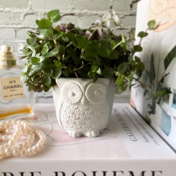 Cute Owl Planter | Small Handmade Concrete Planter | Boho hippie Cottage Home Decor | Housewarming Gift