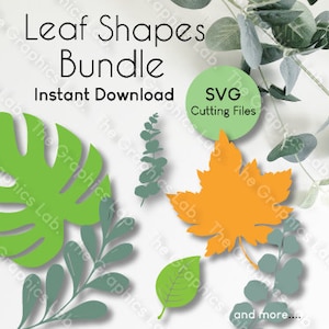 Foglie / Leaf Bundle SVG, DXF e AI /Templates / Taglia file per Circut / Silhouette / Clipart / Vector