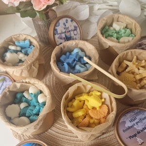Peut inclure: Assortiment de petits fondants parfumés dans différents parfums et designs. Les fondants sont emballés dans de petits contenants en carton avec des étiquettes indiquant le nom du parfum et "Mini fondant parfumé". Les parfums incluent "Noix de coco de waikiki plage", "Monoï pêche" et "Plage de sable".