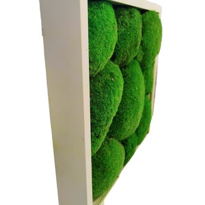 Puede incluir: Una pieza de arte de pared cuadrada con un marco blanco, que presenta bolas de musgo verde dispuestas en un patr&oacute;n geom&eacute;trico.