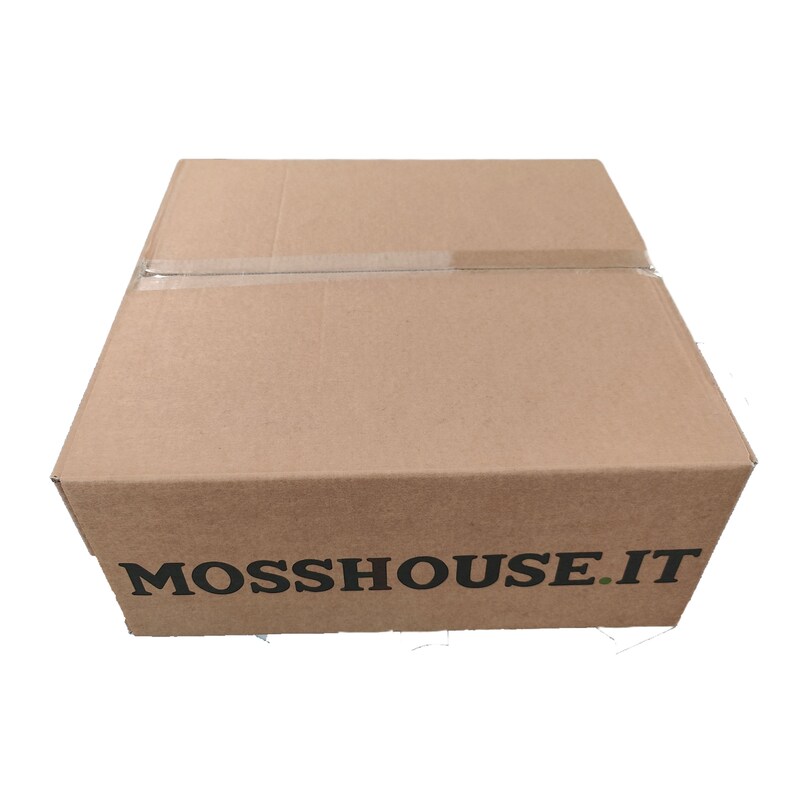 Puede incluir: Una caja de cart&oacute;n marr&oacute;n con el texto "MOSSHouse.IT" impreso en la parte delantera.